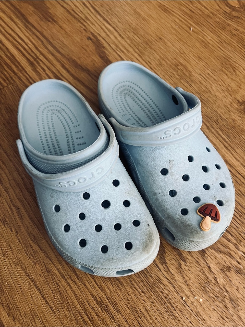 CROCS Kids Light Blue Classic Clog with Mushroom Jibbitz
